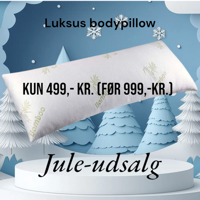 137 x 50 cm, Luksus Body Pillow med Bambus Cover og Memory Foam